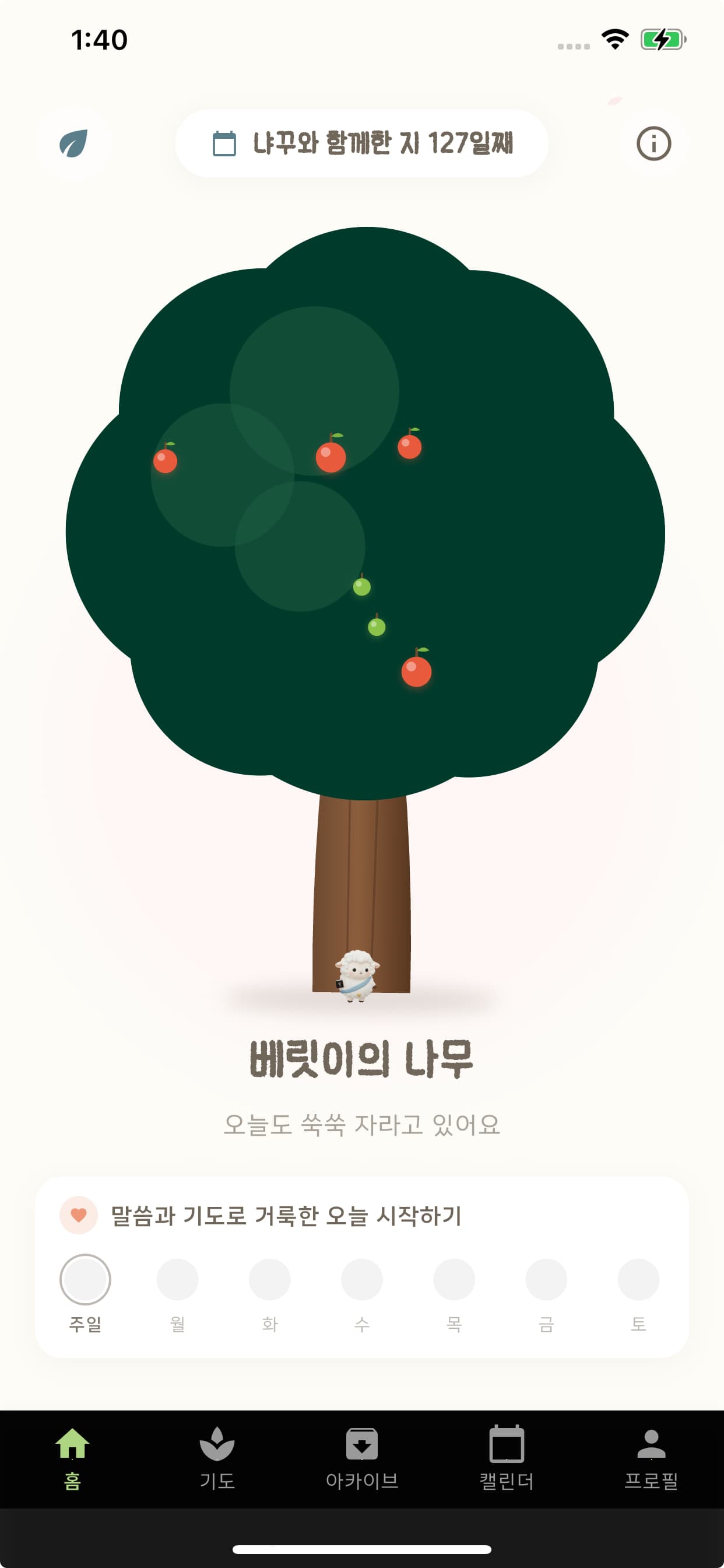 믿음 나무가 자라는 베리트 앱 홈 화면 — 열매 맺힌 나무와 일주일 기도 기록